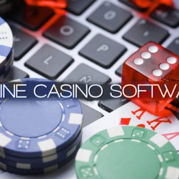 Review of the online casino software