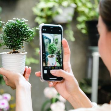 Exploring the Verdant World: Unveiling the Best Plant Identification Apps